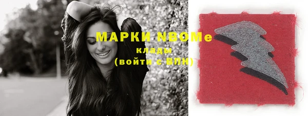 соль ск Пересвет