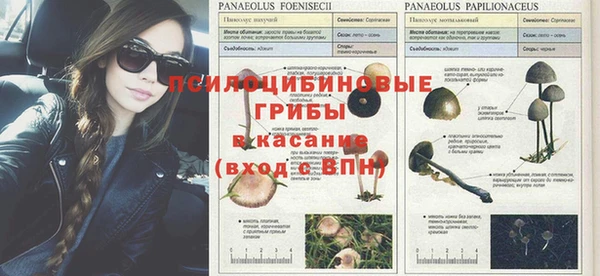 наркотики Пестово